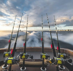 Meet your Posher, Liam